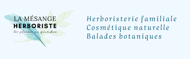 La mésange herboriste