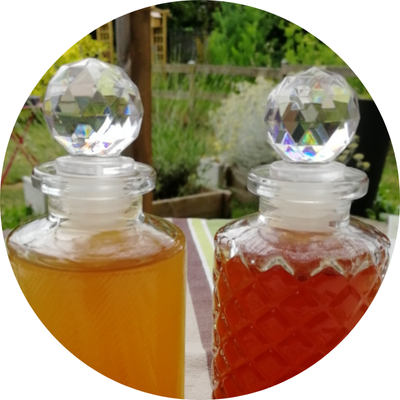 Atelier découverte de la cosmétique naturelle